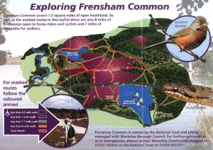 Frensham Common poster