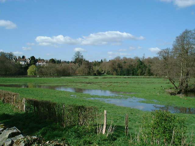 the_water_meadow1